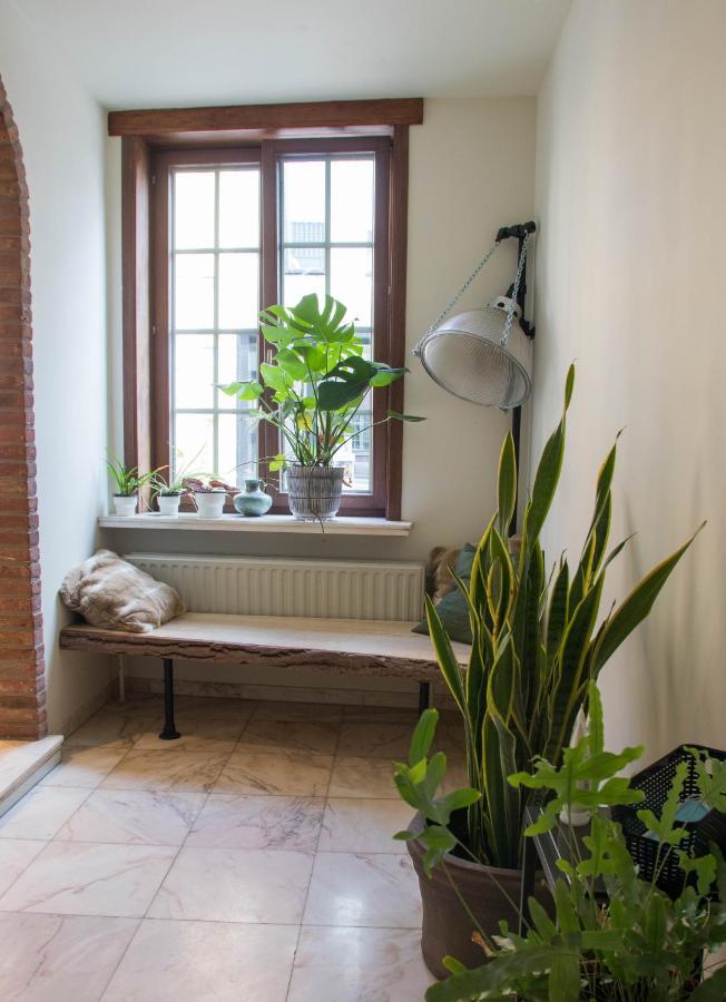 Deur6 Bed and Breakfast Zele Buitenkant foto